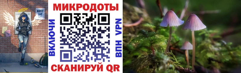 купить наркотик Томмот мориарти наркотические препараты Псилоцибиновые грибы ЛСД